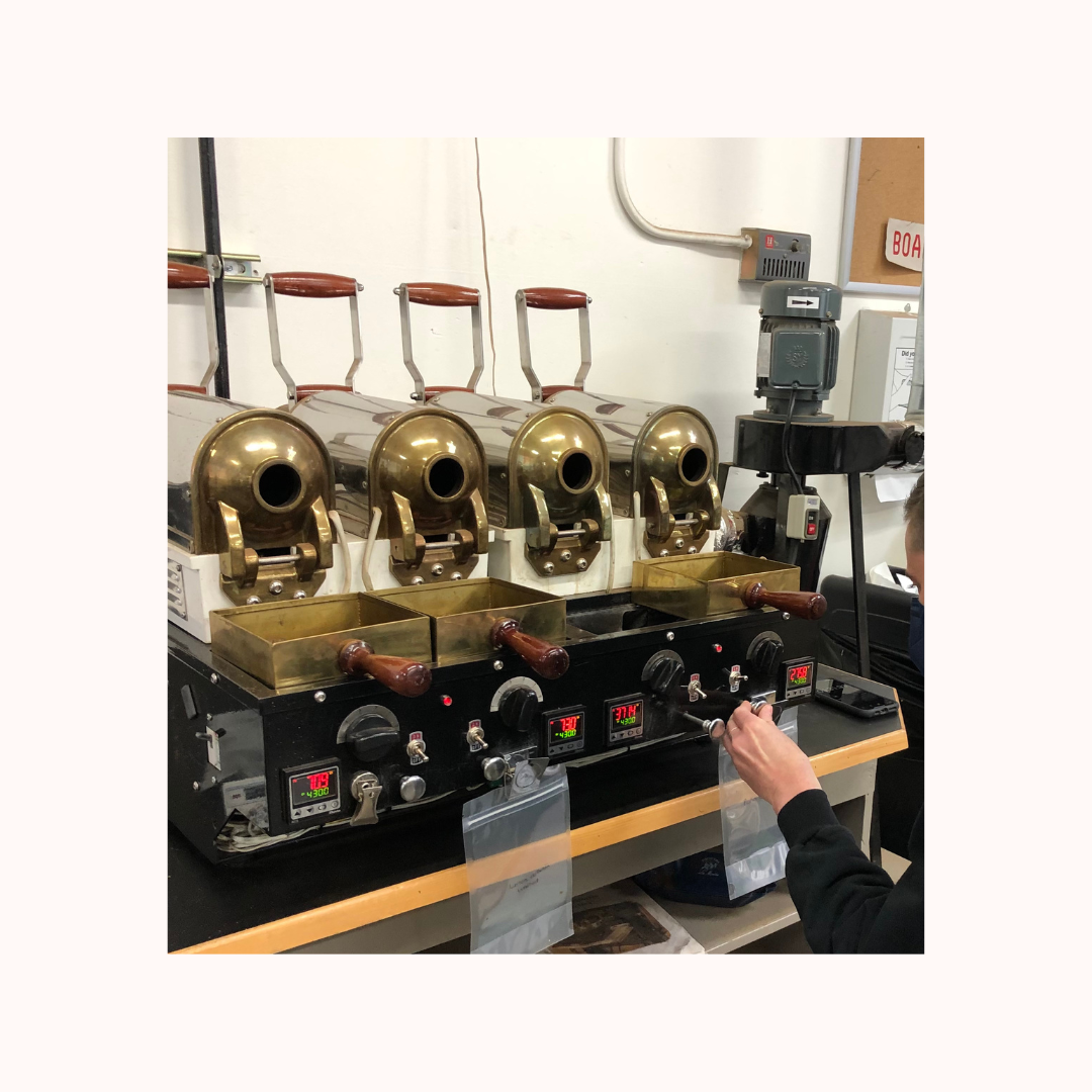 (11/13, PM) Sample Roasting Workshop