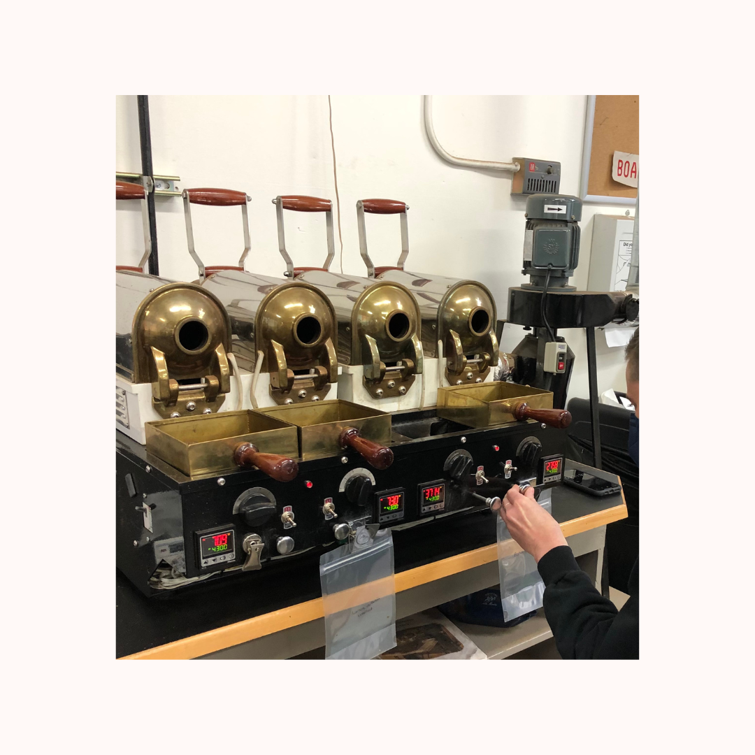 (12/10) Sample Roasting Workshop (2hr)