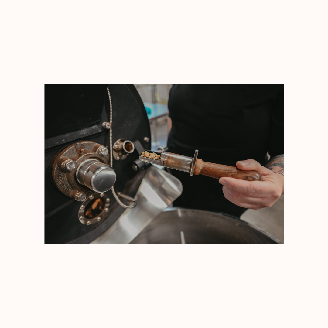 (NEW YEAR! 01/10) Coffee Roasting Foundations 102: Introduction to Cropster and Production Roasting